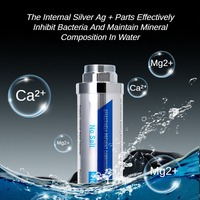 Zentraler Wasser ent härter Anti-Scaling-Filter Kalks alz entfernung Anti-Scaling-Wasser auf bereiter für Haushalts wasser filtration systeme