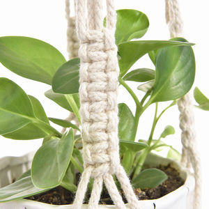 Macramé para Decoración del Hogar, Interior/Exterior, Colgadores de Plantas de Cuerda de Algodón Multiforma, <span class=keywords><strong>Macetero</strong></span> Colgante Decorativo, Soporte Vertical para Macetas - Product Image 2