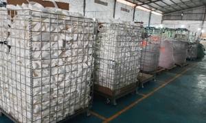 Premium PP/PE Webbing in Various Colors for <b>Luggage</b>, Bag Straps, Shoes, and Pet <b>Accessories</b> - Product Image 5