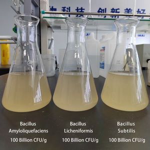 Offre Spéciale 10 milliards de probiotiques Bacillus subtilis Lactobacillus luttent contre les bactéries nocives dans l'aquaculture des crevettes - Product Image 6