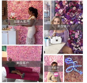 Sfondo 3D con Rose Artificiali Rosse, <span class=keywords><strong>Tenda</strong></span> Avvolgibile in Tessuto 8 X, Parete di <span class=keywords><strong>Fiori</strong></span> Rosa Pallido - Product Image 4