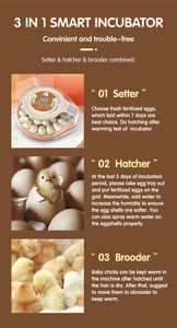 <span class=keywords><strong>2026</strong></span> नई प्रवृत्ति आई नियंत्रक 26 59 पूर्ण स्वचालित बतख अंडे इनक्यूबेटर चिकन अंडे के लिए ऑटोटैक इन्क्यूबेटर कूवटर का उपयोग करें - Product Image 6