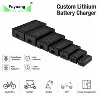 Chargeur de batterie industriel personnalisé 12V 24V 48V 60V 72V 84V 96V 108V LiFePO4 pour batterie lithium-ion, robot, AGV, scooter, marine