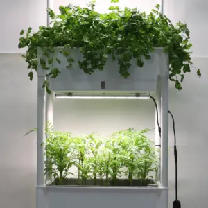 3 층 수직 원예 녹색 농장 자체 급수 실내 정원 성장 가벼운 꽃 식물 냄비 집 발코니