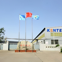 Plaque de plafond suspendu en laine minérale Kente - Absorption acoustique, ignifuge, résistant à l'humidité pour bureaux, écoles, hôpitaux