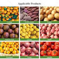 Industriële fruitwasmachine en sorteermachine voor perziken, zoete aardappelen, olijven en citrusvruchten, 5 ton/uur, met kwaliteitsselectie en -sortering.