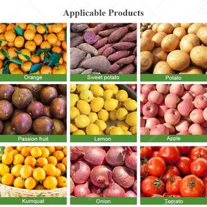 Máquina de clasificación, limpieza, encerado y lavado para patatas, aguacates, nueces de areca, tomates, zanahorias, frutas secas y productos de secado artificial - Product Image 6