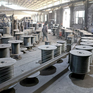 <span class=keywords><strong>Fil</strong></span> <span class=keywords><strong>de</strong></span> <span class=keywords><strong>fer</strong></span> <span class=keywords><strong>Fil</strong></span> <span class=keywords><strong>de</strong></span> câble attachant le <span class=keywords><strong>fil</strong></span> <span class=keywords><strong>de</strong></span> <span class=keywords><strong>fer</strong></span> galvanisé pur doux <span class=keywords><strong>de</strong></span> <span class=keywords><strong>fer</strong></span> <span class=keywords><strong>de</strong></span> <span class=keywords><strong>fer</strong></span> - Product Image 2