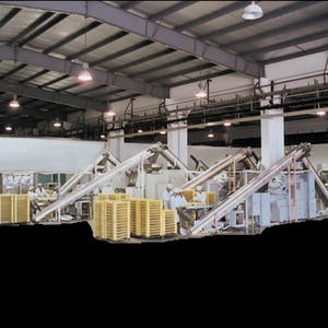 Machine de saponification pour la fabrication de savon à froid à bas prix - Product Image 1