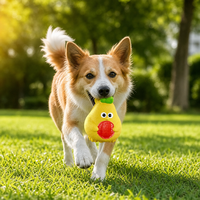 Jouet pour chien en latex qui couine, adorable jouet à mâcher en forme de poussin pour petits et moyens chiens