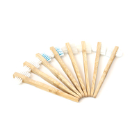 Brosse à prothèses dentaires vert menthe européen avec nylon et bambou pour le nettoyage quotidien des dents artificielles, poignée ergonomique, élimine les germes, vente en gros