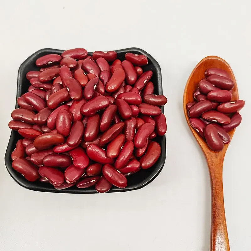 canned dark red kidney beans Good price china factory organic dark red kidney beans