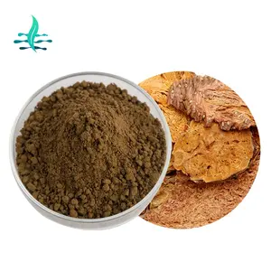 Nhà Sản Xuất Cung Cấp Chiết Xuất Từ Rhodiola Rosea Chất Lượng Cao