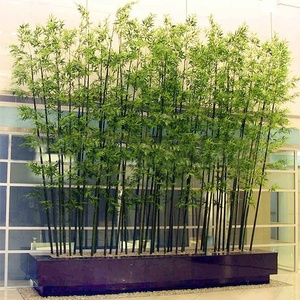 Venta al por mayor <span class=keywords><strong>centro</strong></span> comercial Hotel restaurante decoración Artificial planta varios Artificial plantas de Bambú - Product Image 5