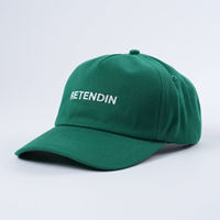 Lage profiel customisatie alle seizoenen unisex borduurlogo nieuwe outdoor katoenen hoge kwaliteit 5-delige gebogen klep pet