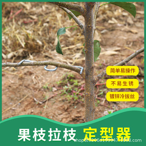 Xinxing M Type Fruit Tree Branch <b>Puller</b> 10-20mm Alloy Steel For Apple Citrus Shaping Horticulture Planting - Product Image 5