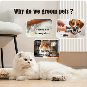 犬の世話用ステンレス鋼ペットヘアコームブラシノミやニットコームを除去するためのシラミコーム - Product Image 4