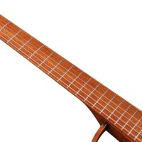 Smart Silent 38-Inch 6-Stringed Nylon String Electric Guitar Mahogany Body Matte Finish Student Beginner Guitarra Electrica