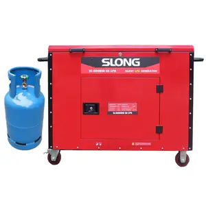 Langer 15kW 17kW 15000 Watt Silent Benzin generator Silent Benzin LPG Dual Fuel Generator