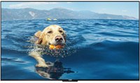 65 Zoll Brandneuer Original HDR Android Smart TV Google Play Multi-System-Wahl 4K HKC Panel LED Vollbild Hotel-TV Schwarz