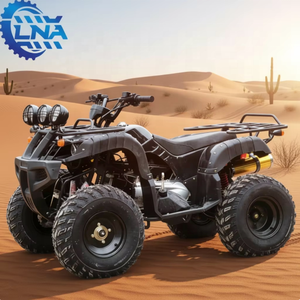 Cuatrimotos chinas <span class=keywords><strong>de</strong></span> 250cc con freno <span class=keywords><strong>de</strong></span> disco hidráulico LNA, construidas para uso diario y <span class=keywords><strong>alquiler</strong></span>. - Product Image 1