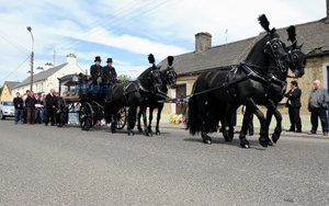 Cercueil funéraire tiré par des chevaux, transport spécial, vente directe d'usine, calèche funéraire tirée par des chevaux - Product Image 4