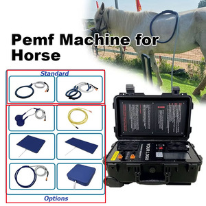 Appareil PEMF à double canal pour chevaux, très demandé, pour détendre les muscles raides et améliorer la flexibilité des articulations - Product Image 1