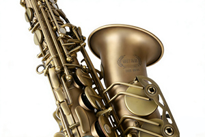 <span class=keywords><strong>Saxophone</strong></span> alto professionnel de qualité supérieure, prix abordable, vente en gros, modèle Widen Premium Or-Bronze (Clé Mi bémol) - Product Image 5