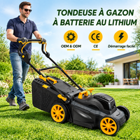 Tondeuse à gazon sans fil, alimentée par batterie au lithium, machine électrique pour couper l'herbe, pour jardin, cour, usage domestique