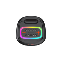 Altavoz Bluetooth de 100W RMS con Logotipo Personalizado, Fabricante OEM ODM, Molde Privado, Caja Colorida, CE RoHS, Bajo MOQ, Venta al Por Mayor