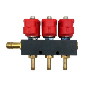 3cylinder Ngv Cng <strong>Common</strong> Lpg Injector <strong>Rail</strong> Car Fuel <strong>System</strong> - Product Image 3