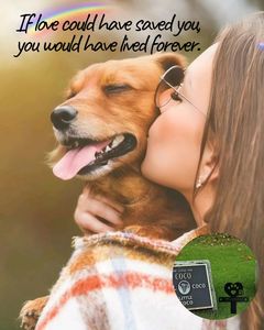 Placa Conmemorativa Metálica Resistente a la Intemperie para Mascotas, Placa Grabada Duradera para Cementerio y Jardín, Homenaje Duradero para Perros y Gatos - Product Image 5