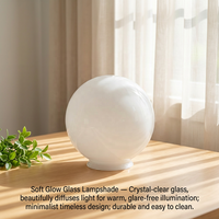 Applique Murale en Verre Soufflé à la Main, Forme Sphérique, pour Intérieur, Extérieur, Porche et Jardin – Vente Chaude Directe Usine