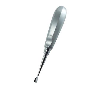 Elevador de Extracción Dental de Acero Inoxidable, Instrumento para Extracción de Raíces, para Cirugía Oral, Clínica Dental, Suministros para Consultorio Dental - Product Image 2