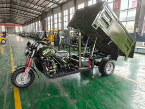 Motocicleta de Tres Ruedas a Gasolina con Función de Autodescarga, Abierta, para Adultos, Precio de Fábrica - Product Image 4