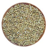 Meilleure qualité très favorable gros granule séché épices de Chine herbes simples graine de coriandre pour cuisinier
