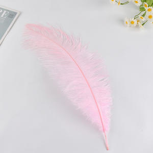 Grosir 35-40 cm panjang alami bulu burung unta besar untuk pesta pernikahan meja makan vas pusat dekorasi lampu rumah bulu - Product Image 3