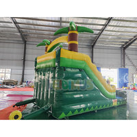 Toboggan aquatique gonflable commercial avec piscine pour enfants, équipement de parc aquatique extérieur, aire de jeux, équipement d'amusement