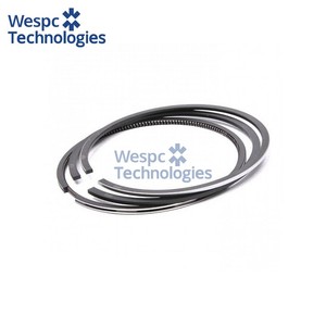 Segment de piston WESPC 4181A106 pour moteur diesel Perkins 1004 1006, tracteur, générateur, engins de construction, pièce de rechange - Product Image 2