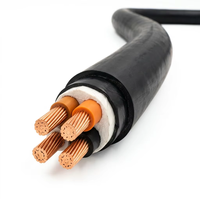 Kabel Daya ZR-YJV Tahan Api IEC 0.6/1kV 4 Inti 50mm2 Tembaga XLPE Tanpa Pelindung Baja