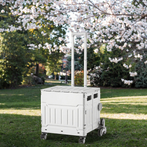 Chariot de camping pliable à 8 roues, chariot de courses et de rangement pour escalade, avec poignée télescopique, chariot utilitaire pour pique-nique en extérieur - Product Image 3