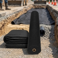 Géotextile non tissé multifonction en polypropylène pour la séparation, la filtration, le drainage et la protection des allées extérieures et des murs de soutènement