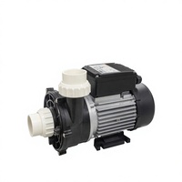 Pompe de spa portable autonome contemporaine DXD-300E 230V 50/60Hz 200W 0,35 CV pour bain à remous et massage, écologique, pour intérieur