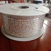 Prix d'usine Bande LED AC220V 2835 120leds/m 100M 12W IP67 3000k 4000k 6500k Blanc Étanche Dimmable Flexible Bande LED Lumineuse