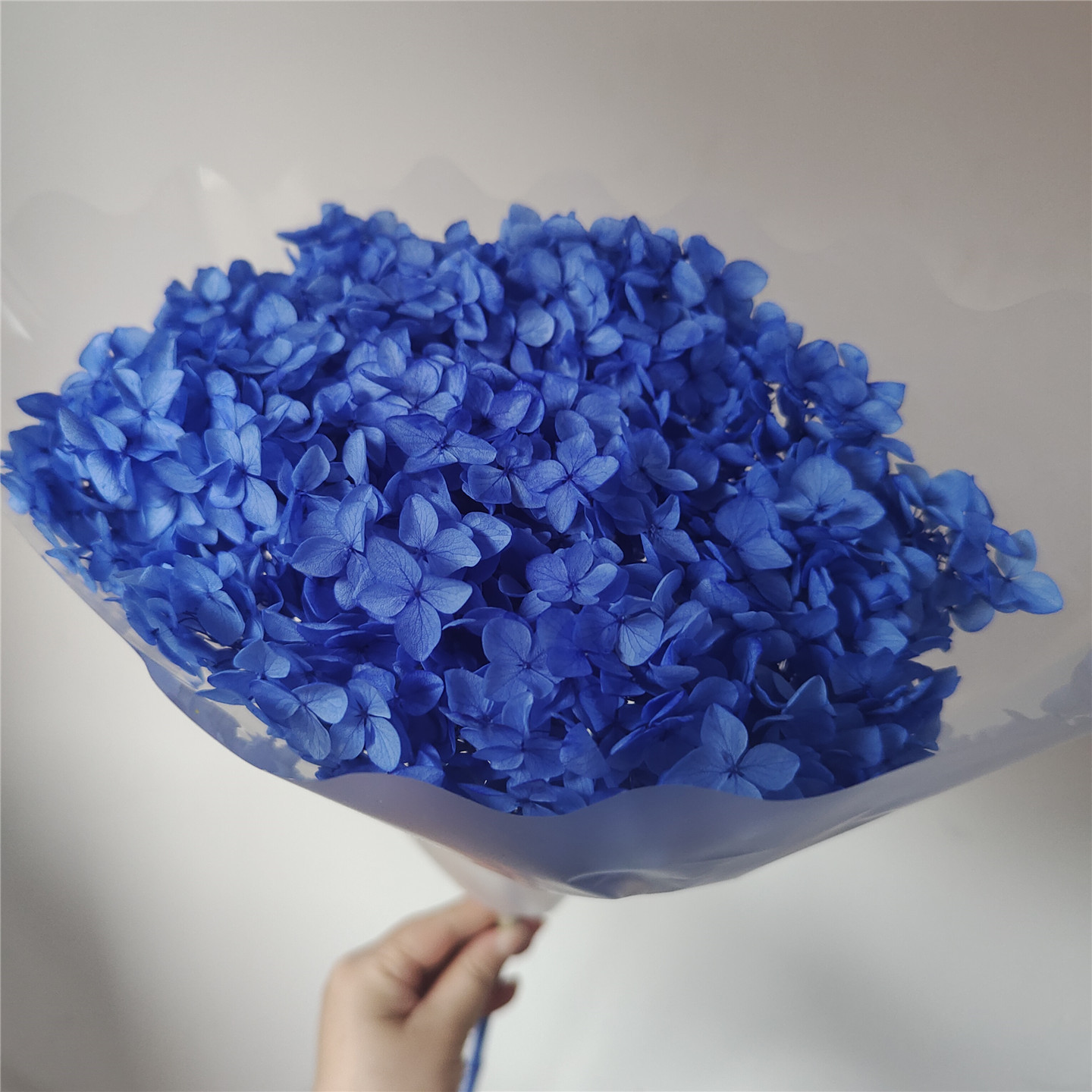 Dark Blue, 18-21 cm