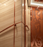 Ascensore Passeggeri Fareo Moderno in Acciaio Inox Senza Ingranaggi AC - Durevole, Sicuro, Facile Installazione, Pavimento in PVC, Uso per Appartamenti