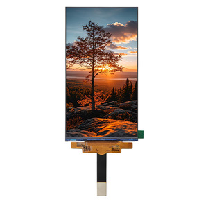 5.98 inch IPS <span class=keywords><strong>LCD</strong></span> hiển thị 1440x2560 400nits <span class=keywords><strong>mipi</strong></span> 50pins Trung Quốc 5.98 inch <span class=keywords><strong>Full</strong></span> <span class=keywords><strong>HD</strong></span> TFT Nhà cung cấp cho Flagship điện thoại thông minh - Product Image 1
