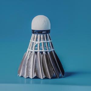 <span class=keywords><strong>2025</strong></span> Trung Quốc Nhà Máy Giá Rẻ Giá Chuyên Nghiệp Độ Bền Cao Lông Cầu Lông Cầu Lông Đá Cầu Vịt Lông Màu Đen Biểu Tượng Tùy Chỉnh Cho - Product Image 5