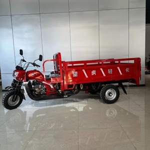 Bán chạy Mở xe tải chở hàng ba bánh ba bánh có động cơ xe máy 250cc làm mát bằng nước động cơ 2t Tải trọng 70 km/h tốc độ bán - Product Image 2