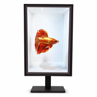 Écran LCD transparent 3D à vision directe personnalisé en usine pour la publicité intérieure dans les centres commerciaux